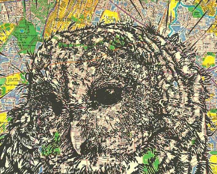 Great Gray Owl on LA map
